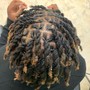 Wash&  Re-twist