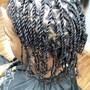 Two strand  Twist