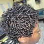 Princess Blowout/ 2strand twist