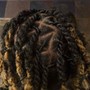 Loc retwist