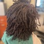 Root Touch Up