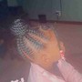 Feeder Braid Ponytail (Med)