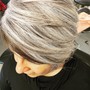 Women's Cut ( wash and style)