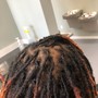 Beginner Locs