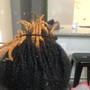 Beginner Locs