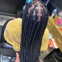 Root Touch Up