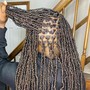 Regular soft Locs