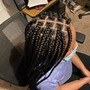 Individual Braids