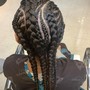 Feeder braids