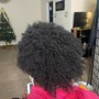 Root Touch Up