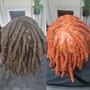 Starter Dreadlocks