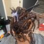 Root Touch Up