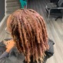 Root Touch Up