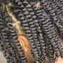 Mini Braid Twists