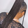 Individual Braids- midback length