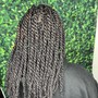 Partial locs retwist n