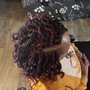 Root Touch Up