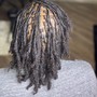 Starter Locs (Full Head of Locs)