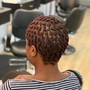 Havana Twists