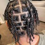 Starter  locs