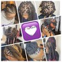 2 Strand Twist/ Plait Braids