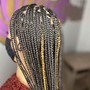 Small mid back knotless Braids