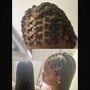 Lemonade Braids