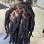 Small starter locs