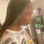 Medium  Box Braids with color