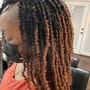 Short Spring Twist