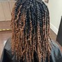 Mid-Back Individual Faux Locs