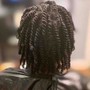 Two Strand Twist (Add)(large)