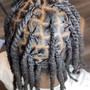 Adult Starter Locs