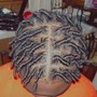 Natural Hair 2 Strand Twist