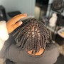 Curvy Feedin 10plus braids