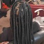 2 Feed In Braids