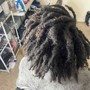 Extra Small Starter locs