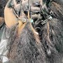 Dreadlocks start (coils)