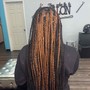 Box Braids