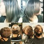 2 step Highlights, and toner (Bleach, demi)