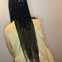 Small Knotless Senegalese Twist