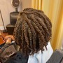 Natural Twists