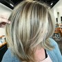 Mini Highlight + Root Touch-Up