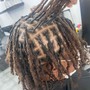 Starter Dreadlocks