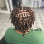 Starter Dreadlocks