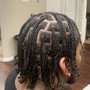 Box braids/two strand twist/ finger coils