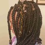 Butterfly Chrochet Loc Extensions Medium