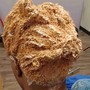 Scalp Treatment