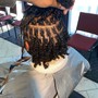 Starter locs