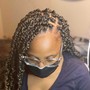 Braided ponytail $120+